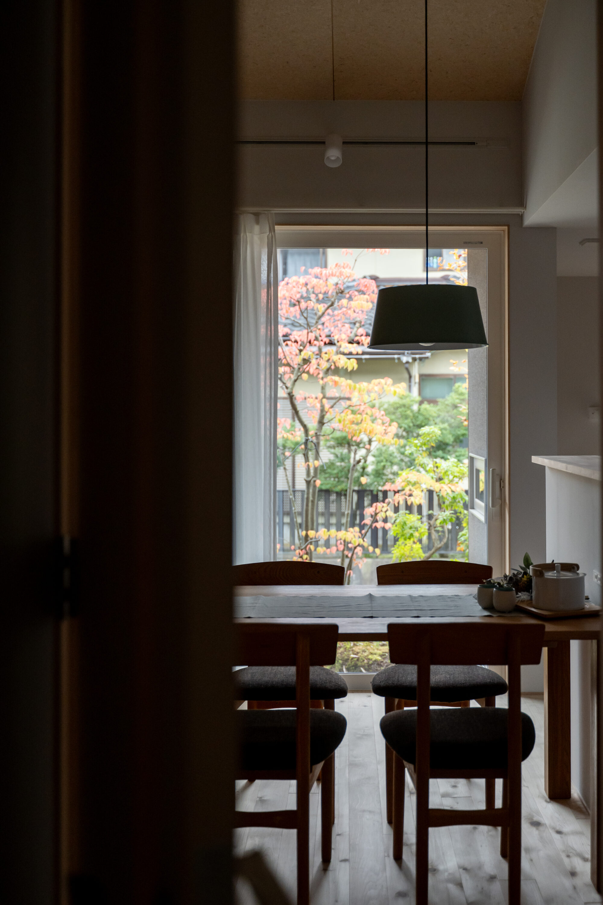 夕陽木（せきようぼく）と暮らす平屋の画像(3枚目)です